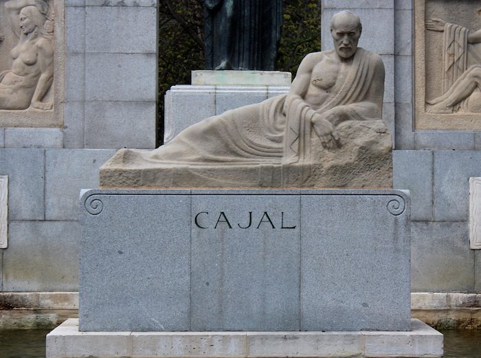 Statua Ramon y Cajal (3).jpg